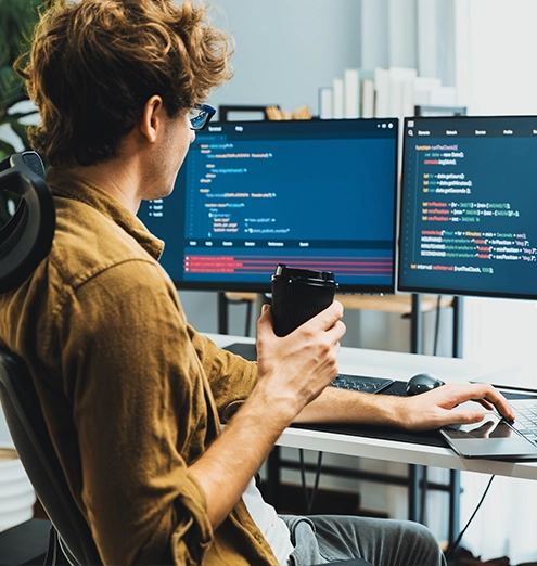 React Web Development Expert